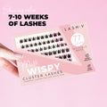 Miss Wispy Cluster Lashes - 77 Clusters Style 2 Pointed Wispies Complete Kit False Eyelashes One V Salon