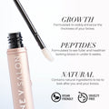 Eyebrow Growth Serum Lash & Brow Growth Treatments One V Salon