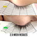 Peptide + Eyelash Growth Serum - Natural Lash Enhancer Lash & Brow Growth Treatments ONE V SALON