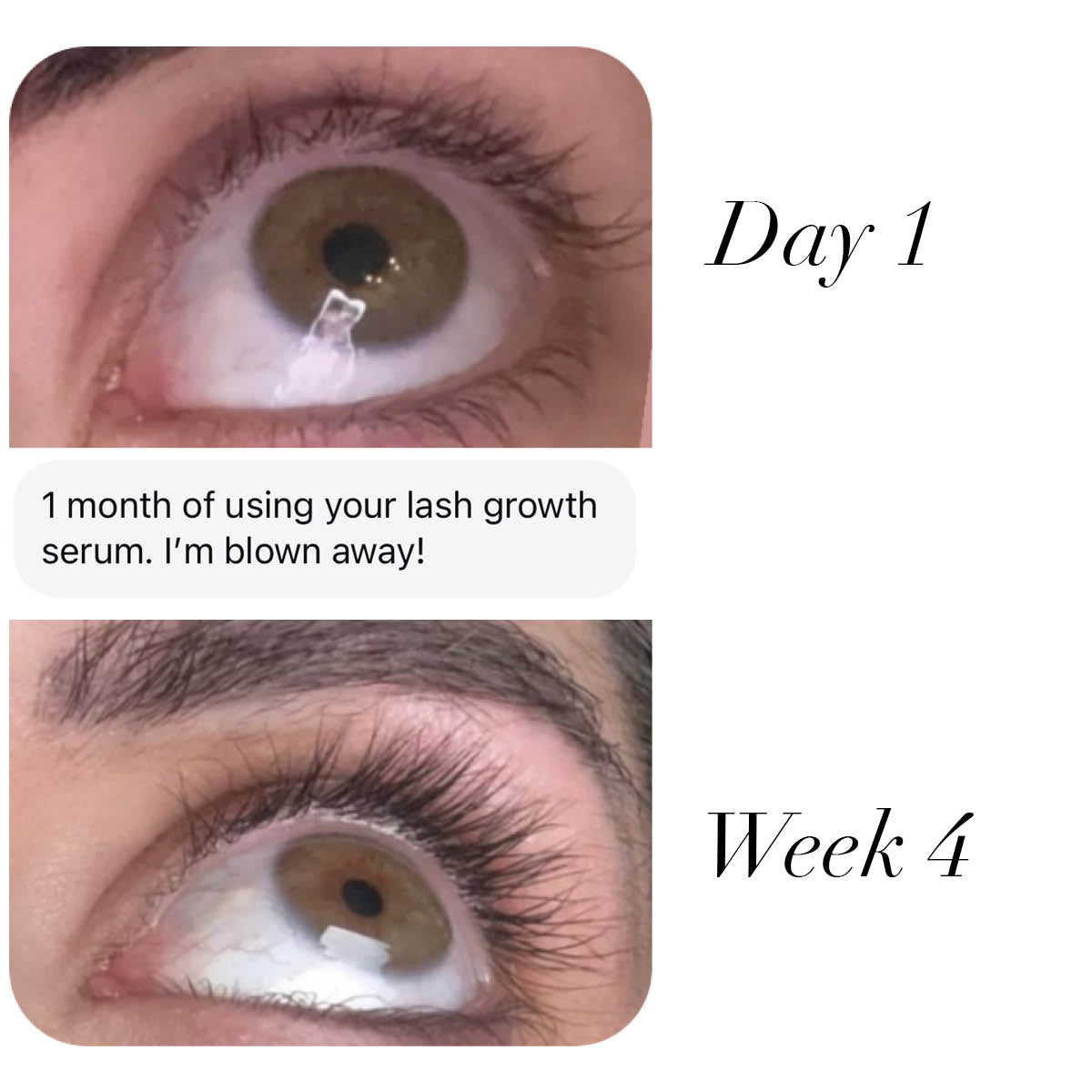 Eyelash Growth Serum Lash & Brow Growth Treatments One V Salon