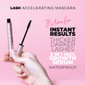 Indulgence Lash & Brow Growth Kit - Lash & Brow Growth Serums + Mascara +Brow Soap Lash & Brow Growth Treatments LASH V