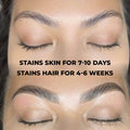 Brow Liquid Dye Complete Combo Kit - X5 colours Eyebrow Enhancers LASH V