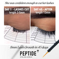 Peptide + Eyelash Growth Serum - Natural Lash Enhancer Lash & Brow Growth Treatments ONE V SALON