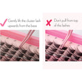 Miss Wispy - Dream Wave - 182 DIY Cluster lashes With Bond and Seal Kit False Eyelashes ONE V SALON